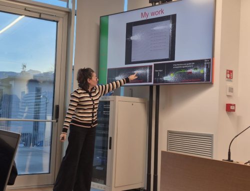 INPHOMIR Presented at SPIE UniTrento Photonics Event